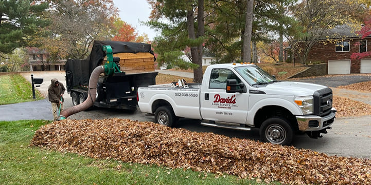 Efficient Leaf Removal in Louisville