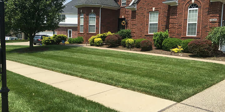 Expert Lawn Care in Louisville