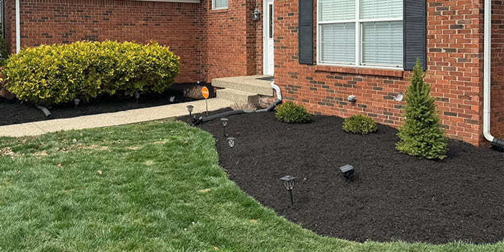 Landscape Lighting Services for Indian Hills