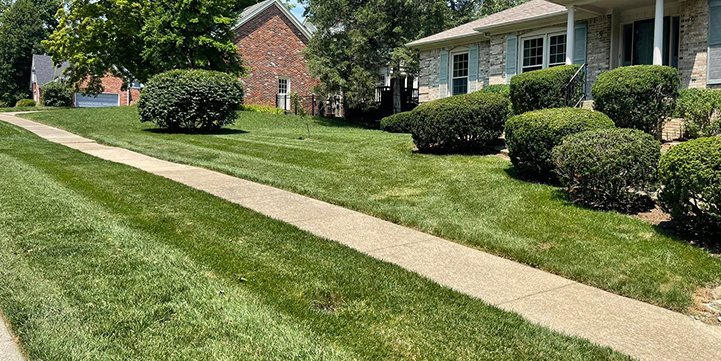 Lawn Care and Landscape Company in Jeffersontown