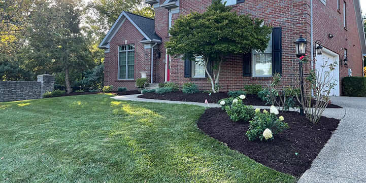 Lawn Care and Landscape Company in Prospect