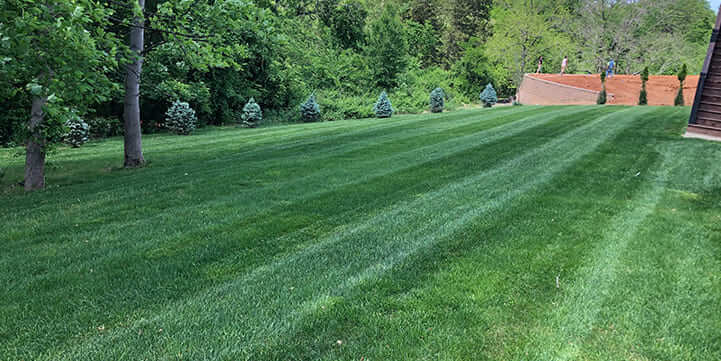 Lawn Fertilization Service For Louisville