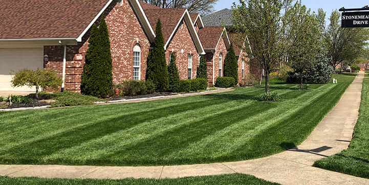 Lawn Mowing Experts in Louisville