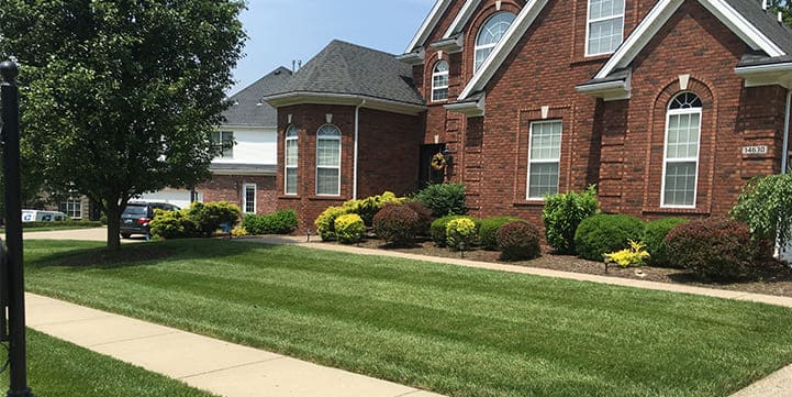 Professional Landscapers in Louisville