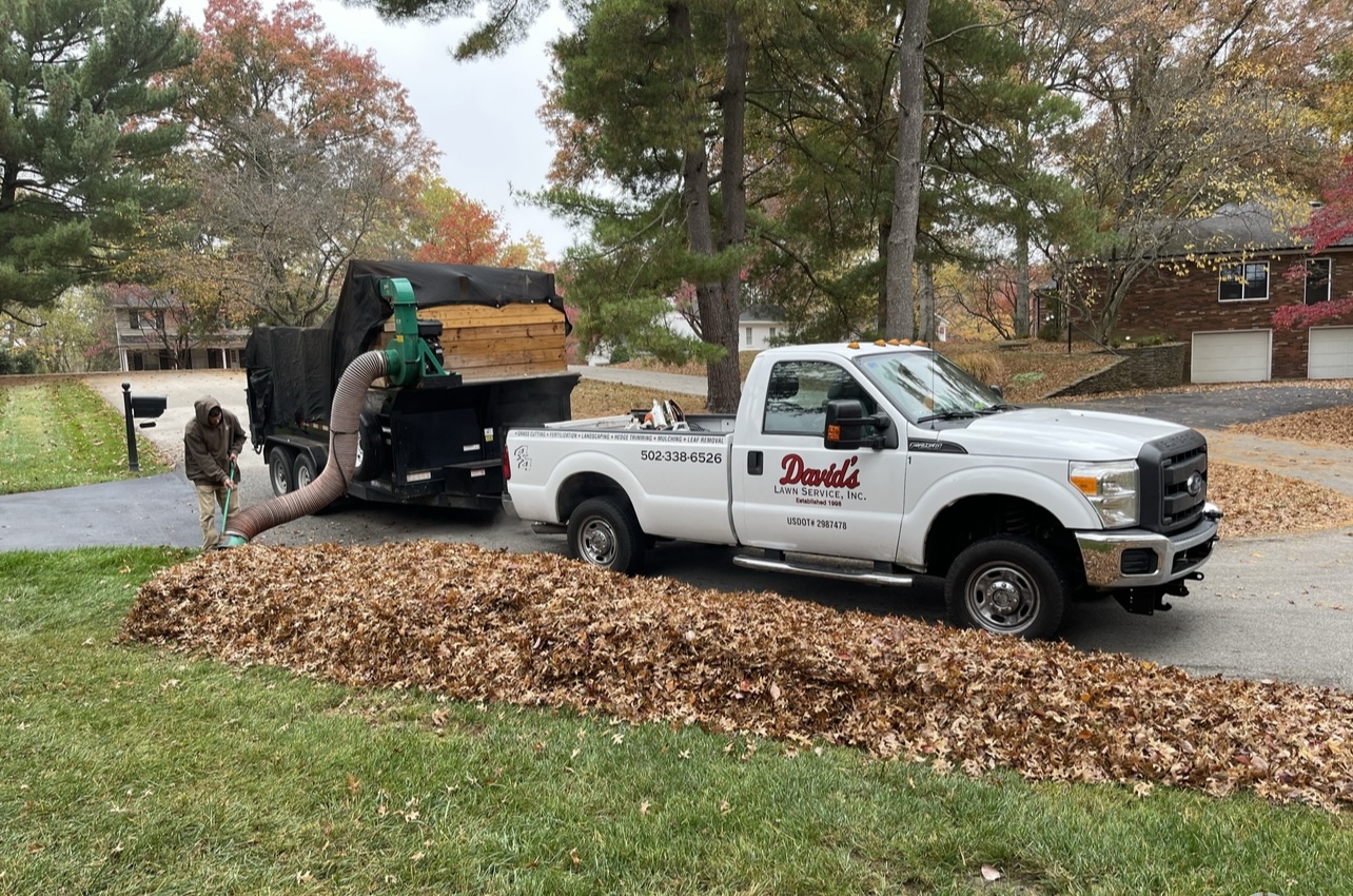 lawn fertilization Louisville, KY