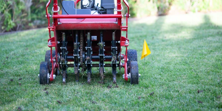 lawn aeration and overseeding for kentucky lawns