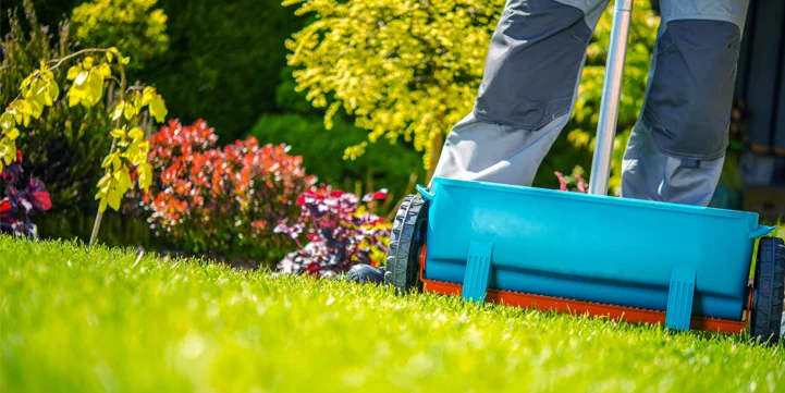 soil prep and fertilization for kentucky lawns