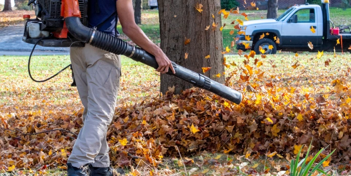 fall yard cleanup services in louisville ky