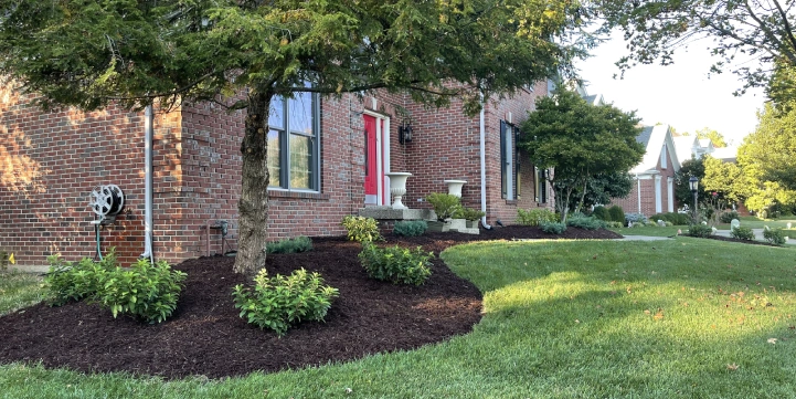 louisville landscaping services